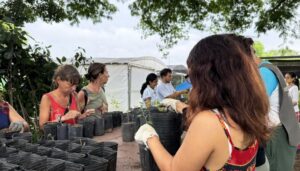 Voliuntariado ambiental del Centro de Información y Formación Ambiental