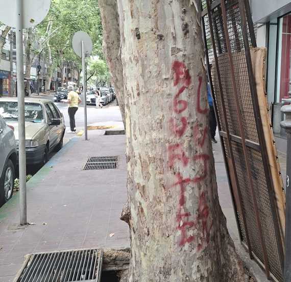Vandalización de árboles en Balvanera, Ciudad de Buenos Aires