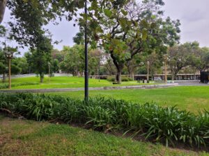 Proyecto de Défict Verde Cero de Sebastián Perdomo en la Legislatura de la Ciudad de Buenos Aires