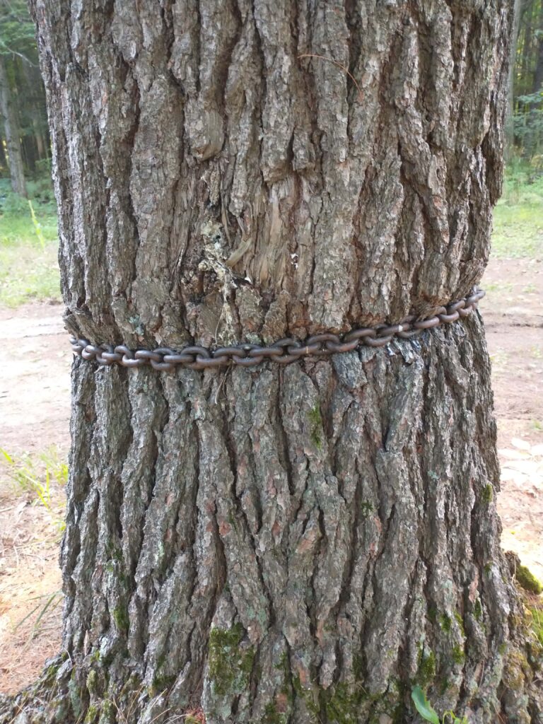 Cadena en árbol