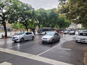 Extracción de arbolado público