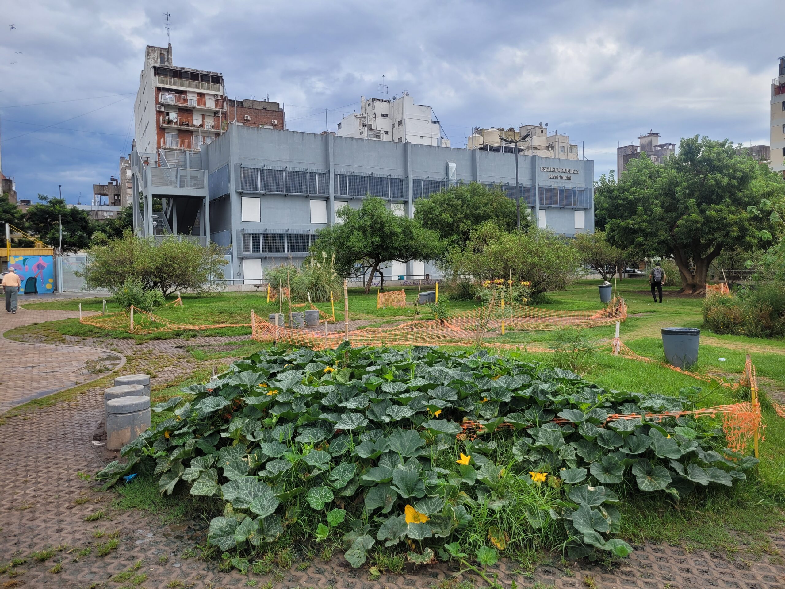 Escuela Manzana 66
